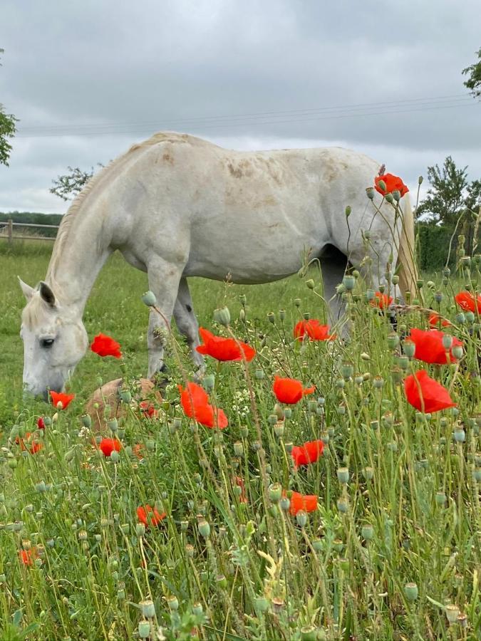 Domaine Nature Vacances Bernécourt Zewnętrze zdjęcie
